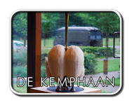 exhibitions