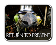exhibitions